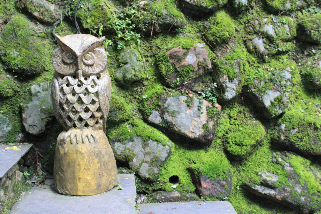 Owls are a recurring motif in indigenous art