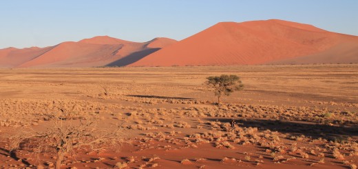 The view from Dune 45 soon after sunrise